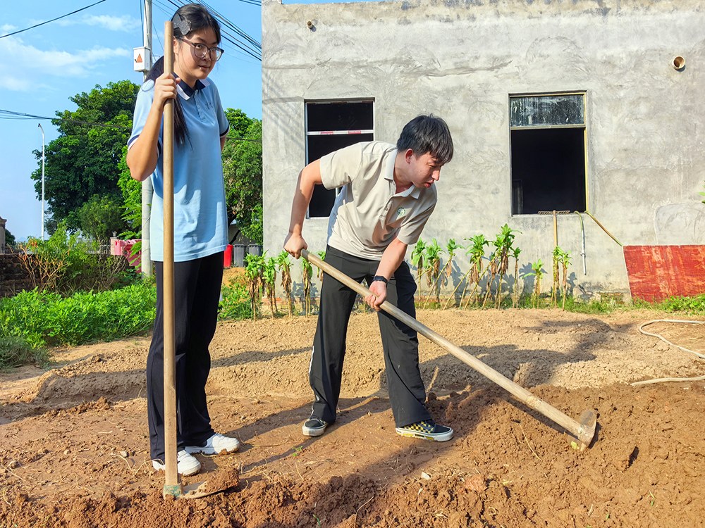 开封正规培训叛逆期孩子学校具体位置在哪